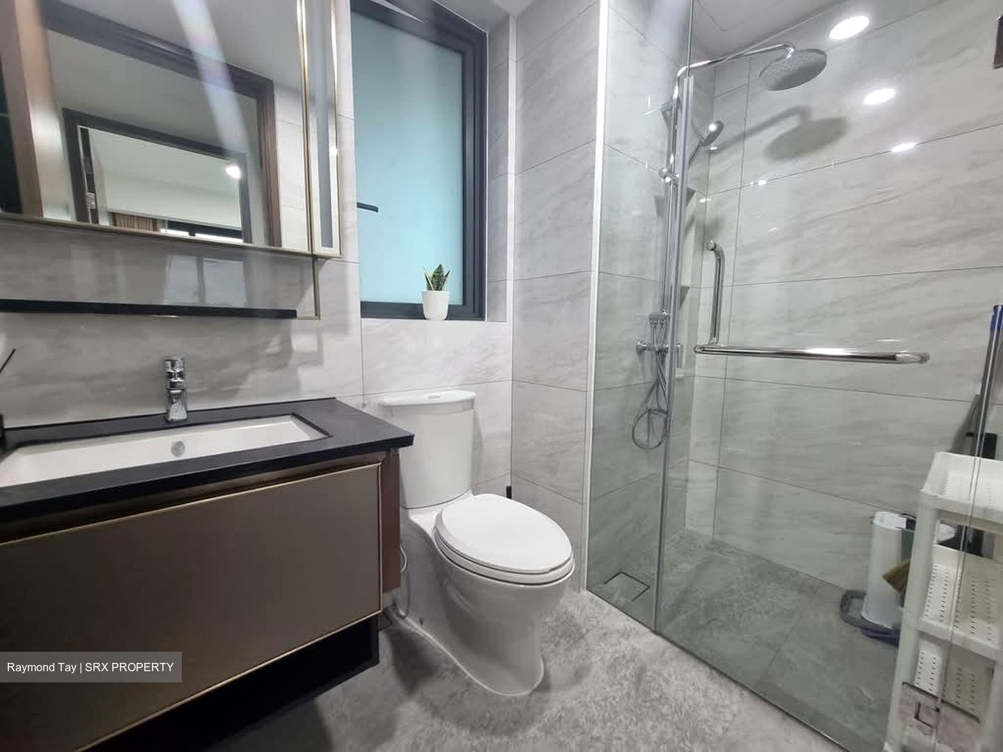 Normanton Park (D5), Apartment #578868321